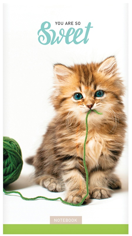 Блокнот А6 24л. на скрепке ArtSpace 