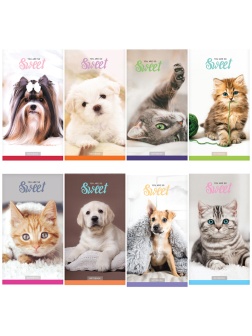 Блокнот А6 24л. на скрепке ArtSpace 