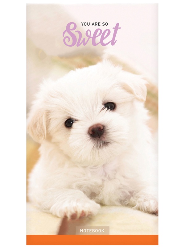 Блокнот А6 24л. на скрепке ArtSpace 