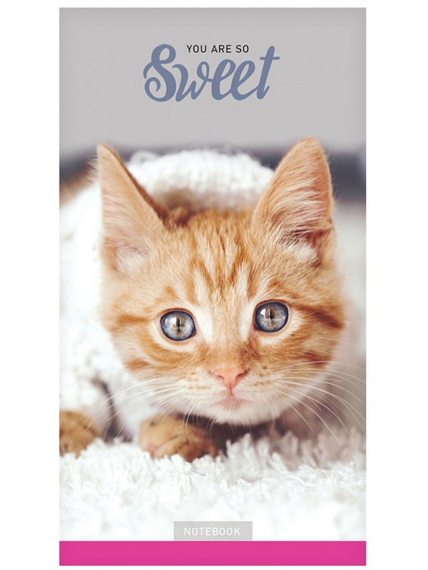 Блокнот А6 24л. на скрепке ArtSpace 