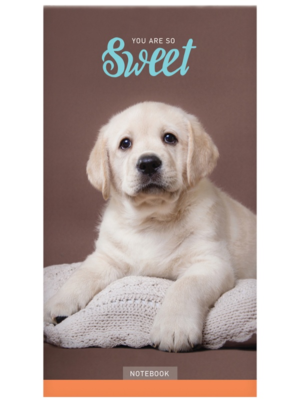 Блокнот А6 24л. на скрепке ArtSpace 