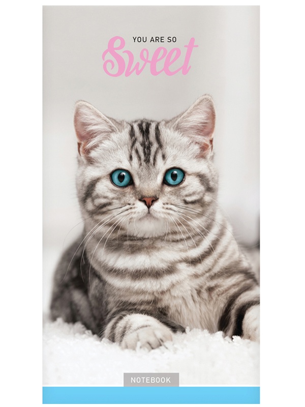 Блокнот А6 24л. на скрепке ArtSpace 