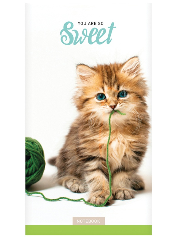 Блокнот А6 24л. на скрепке ArtSpace 