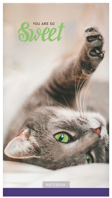 Блокнот А6 32л. на скрепке ArtSpace 