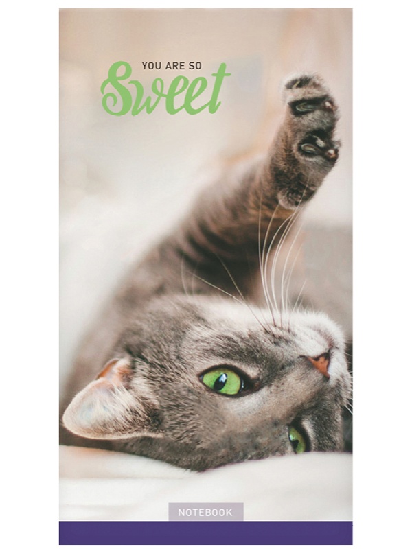 Блокнот А6 32л. на скрепке ArtSpace 