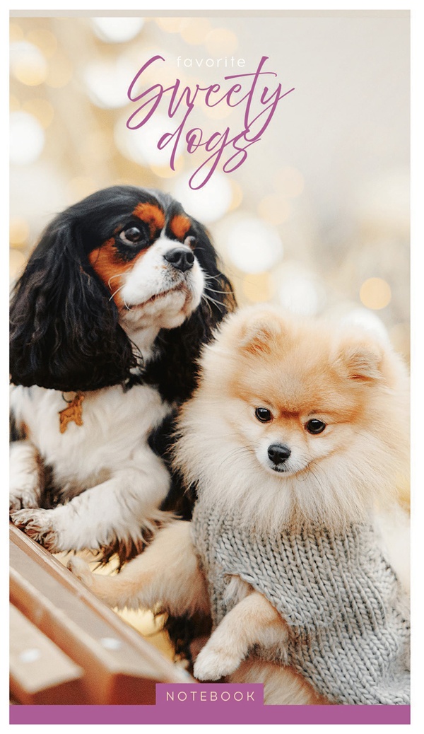 Блокнот А6 24л. на скрепке ArtSpace 