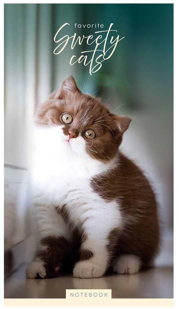 Блокнот А6 24л. на скрепке ArtSpace 