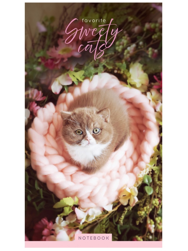 Блокнот А6 24л. на скрепке ArtSpace 