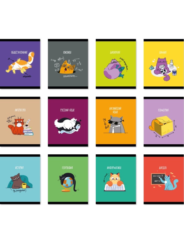 Тетрадь предметная набор Комус Класс  Котики 12 шт., 48., А5