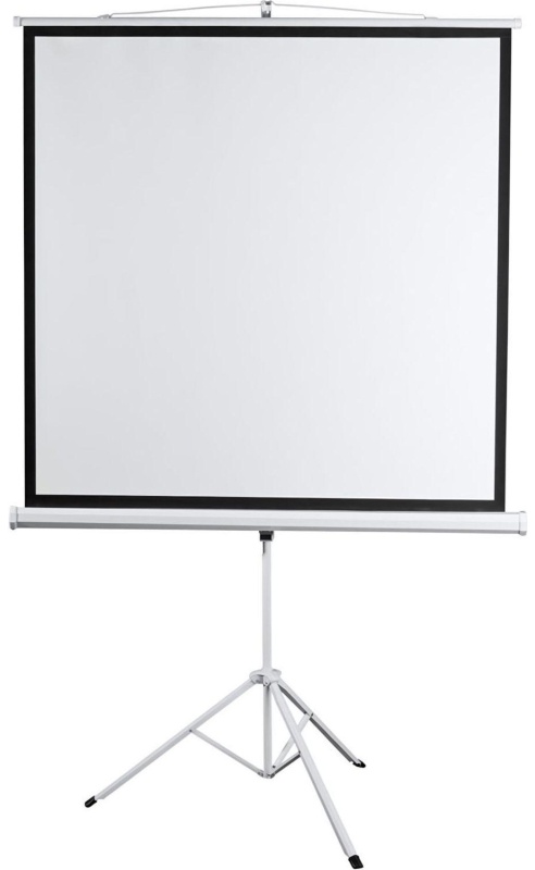 Экран мобильный Digis DSKD-4303, 4:3, 100 (206x159)