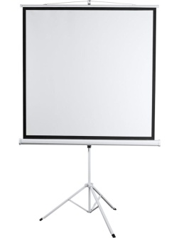 Экран мобильный Digis DSKD-4303, 4:3, 100 (206x159)