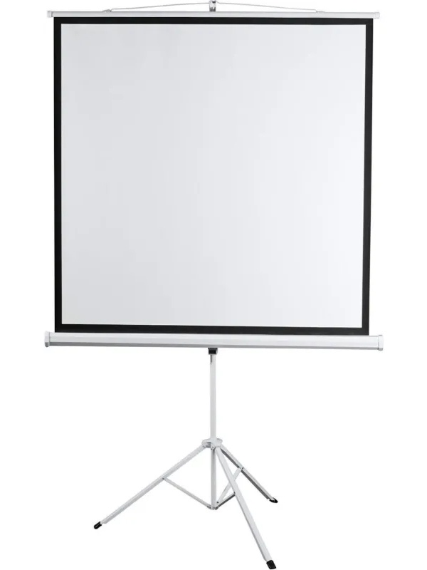 Экран мобильный Digis DSKD-4303, 4:3, 100 (206x159)