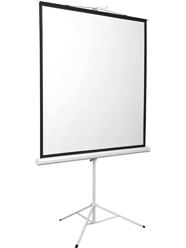 Экран мобильный Digis DSKD-4303, 4:3, 100 (206x159)