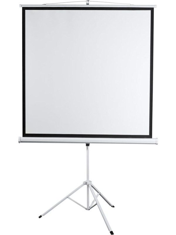 Экран мобильный Digis DSKD-4303, 4:3, 100 (206x159)