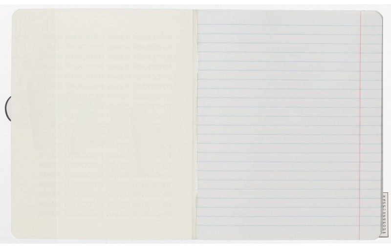 Набор обложек для тетрадей Кот, 10 шт., 213x350, 100 мкм. 72014