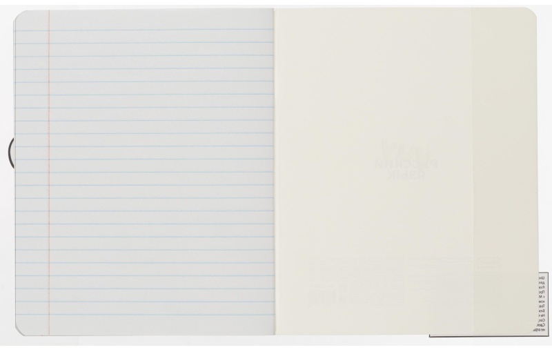 Набор обложек для тетрадей Кот, 10 шт., 213x350, 100 мкм. 72014