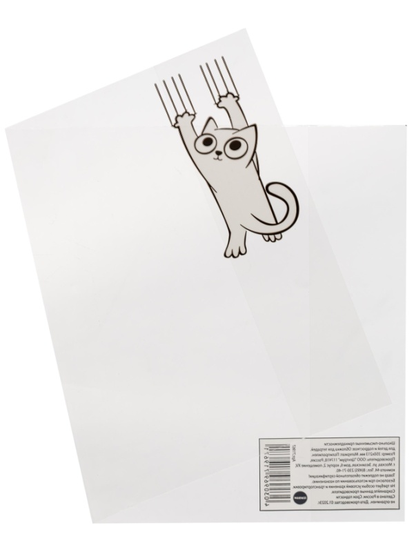Набор обложек для тетрадей Кот, 10 шт., 213x350, 100 мкм. 72014
