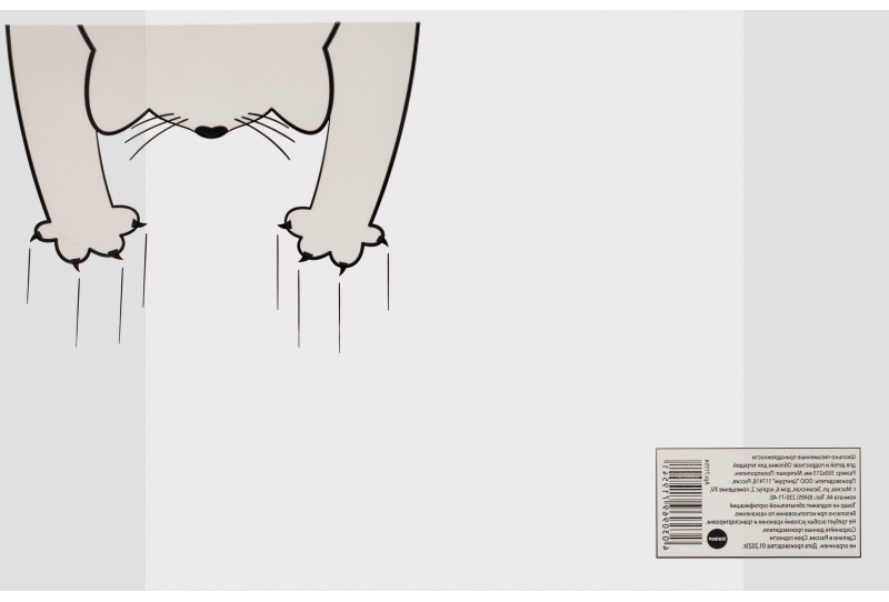 Набор обложек для тетрадей Кот2, 10 шт., 213x350, 100 мкм. 72015