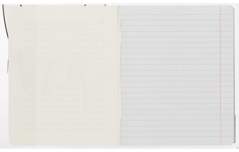 Набор обложек для тетрадей Кот2, 10 шт., 213x350, 100 мкм. 72015