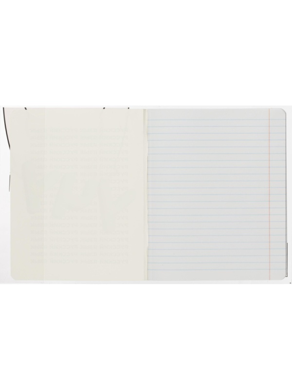 Набор обложек для тетрадей Кот2, 10 шт., 213x350, 100 мкм. 72015