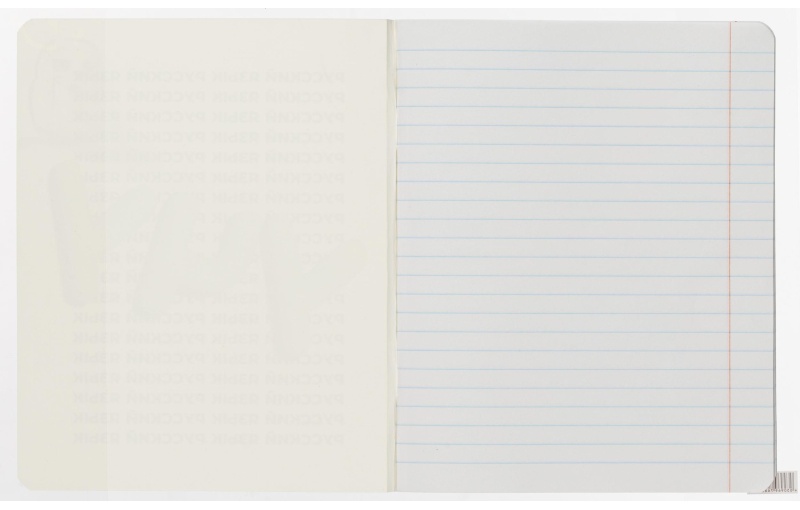 Набор обложек для тетрадей Кот с рыбкой, 10 шт., 213x350, 100 мкм. 76822