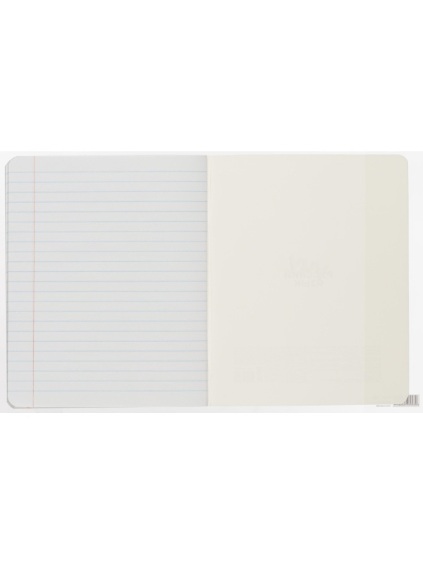 Набор обложек для тетрадей Кот с рыбкой, 10 шт., 213x350, 100 мкм. 76822