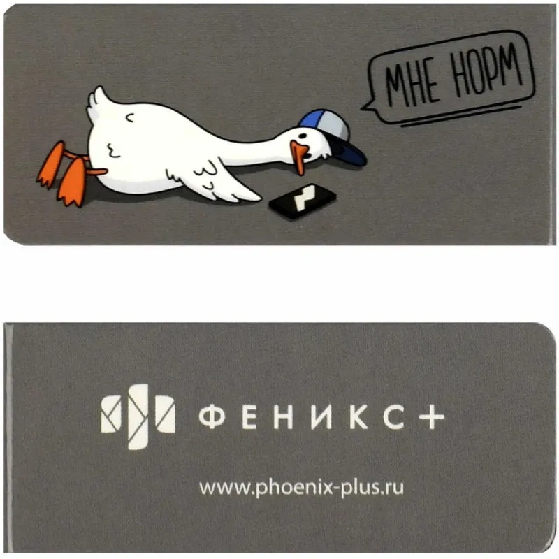 Закладки магнитные для книг ГЕРОИ С ХАРАКТЕРОМ набор 4шт,25х58мм70068