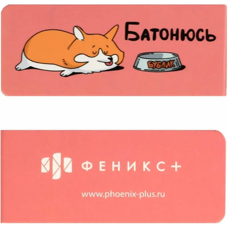 Закладки магнитные для книг ГЕРОИ С ХАРАКТЕРОМ набор 4шт,25х58мм70068