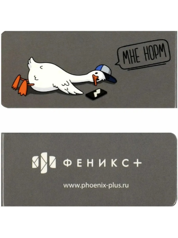 Закладки магнитные для книг ГЕРОИ С ХАРАКТЕРОМ набор 4шт,25х58мм70068