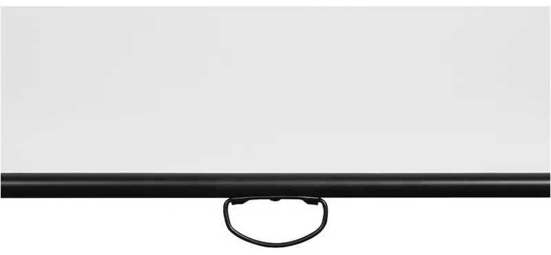 Экран настенный Digis DSOC-1108 Optimal-C 80, 1:1, 144x144, MW