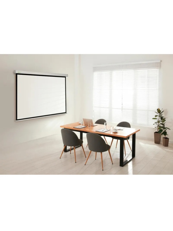 Экран Cactus 124.5x221см Motoscreen CS-PSM-124x221 16:9 наст-потол.(мотор.)