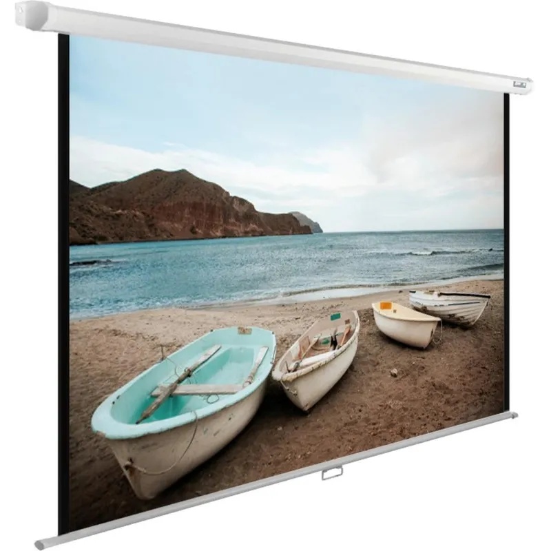 Экран Cactus WallExpert CS-PSWE-220x138-WT 138x220см 16:10 белый