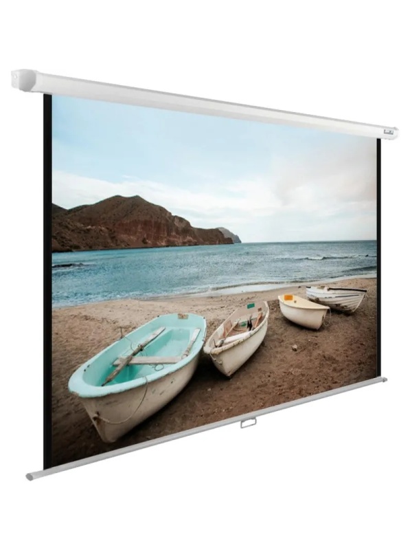 Экран Cactus WallExpert CS-PSWE-220x138-WT 138x220см 16:10 белый