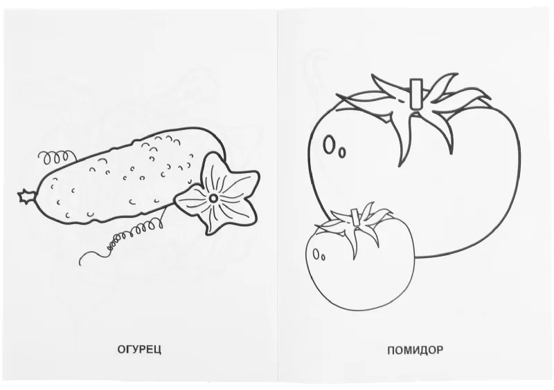 Раскраска Фрукты и овощи.215х290мм. Объем: 16 стр. Умка , 978-5-506-00827-9