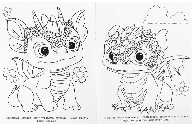 Раскраска Удивительные драконч.Супер-пупер.195х255мм.16с.,978-5-506-09183-7