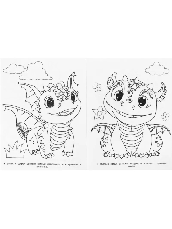 Раскраска Удивительные драконч.Супер-пупер.195х255мм.16с.,978-5-506-09183-7