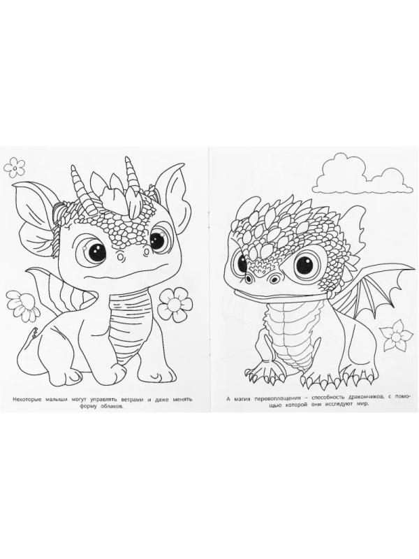 Раскраска Удивительные драконч.Супер-пупер.195х255мм.16с.,978-5-506-09183-7