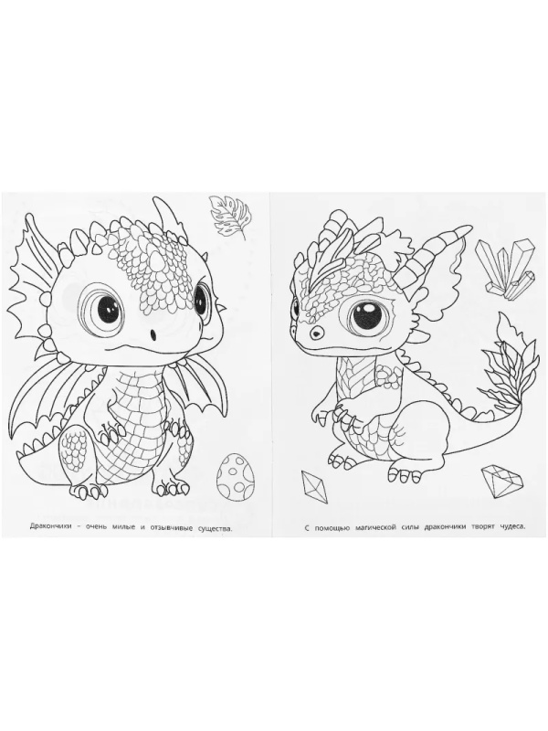 Раскраска Удивительные драконч.Супер-пупер.195х255мм.16с.,978-5-506-09183-7
