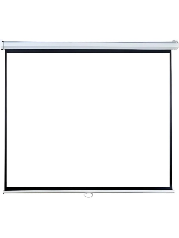 Экран Lumien [LEP-100119] [Eco Picture] настенный, 16:9, 187х280см