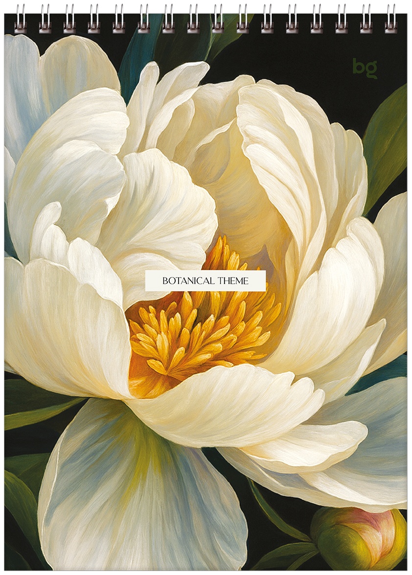 Блокнот А5 60л. на гребне BG 