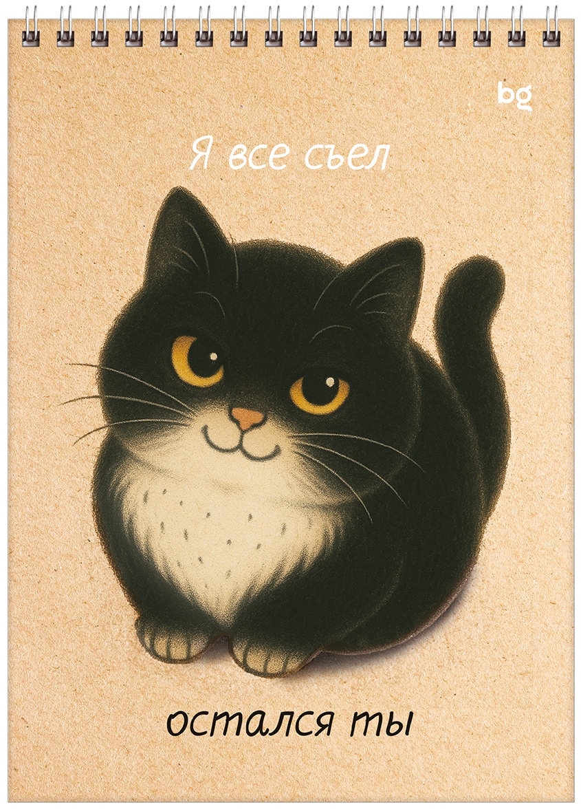 Блокнот А5 60л. на гребне BG 