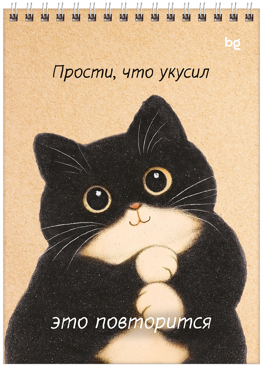 Блокнот А5 60л. на гребне BG 