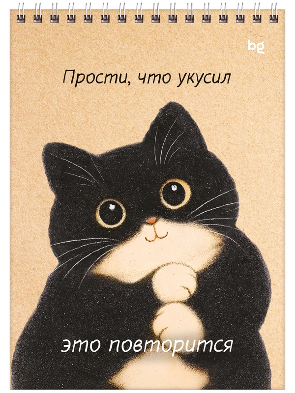 Блокнот А5 60л. на гребне BG 