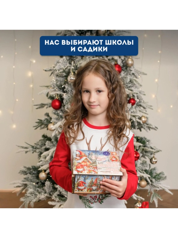 Новогодний сладкий подарок Посылка Гномы Фанера 500 грамм, K003