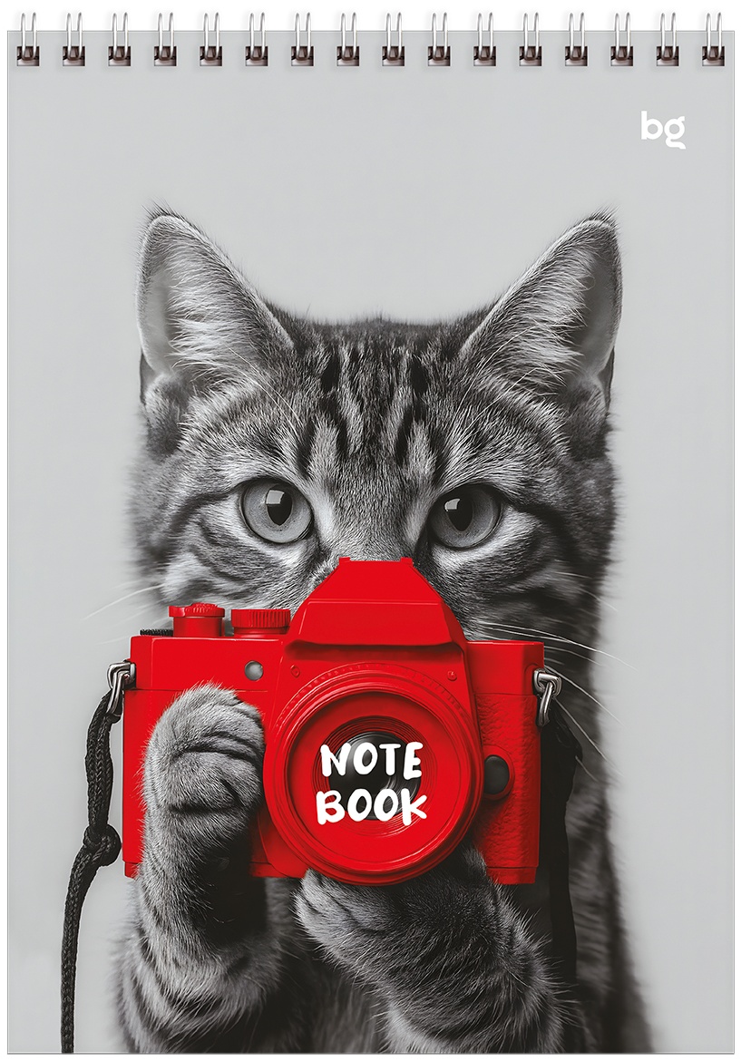 Блокнот А5 80л. на гребне BG 