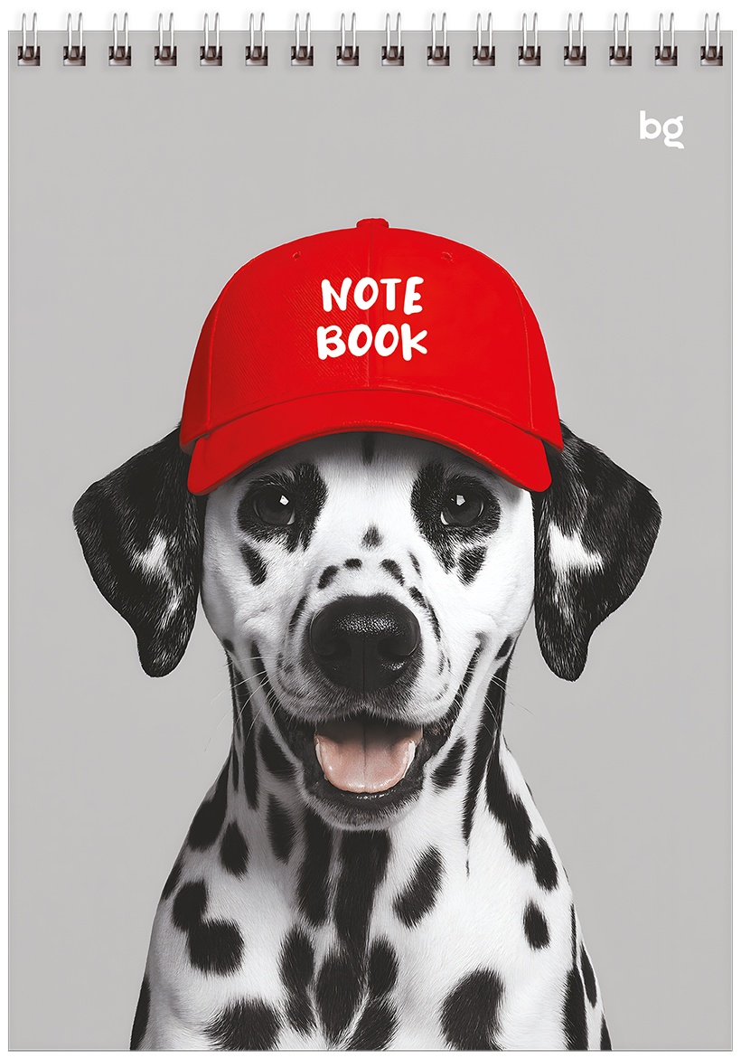 Блокнот А5 80л. на гребне BG 