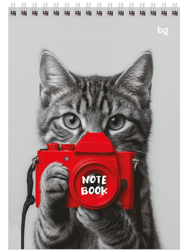 Блокнот А5 80л. на гребне BG 