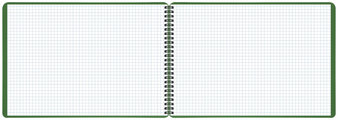 Блокнот А4 80л. на гребне BG 
