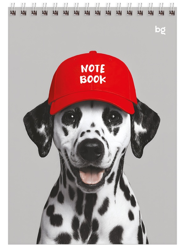 Блокнот А5 60л. на гребне BG 