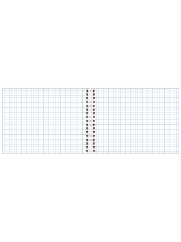 Блокнот А5 80л. на гребне BG 